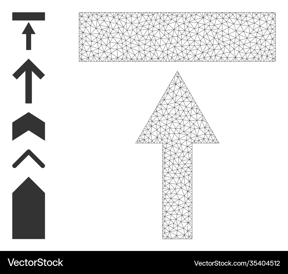 Polygonal network move top icon with simple Vector Image