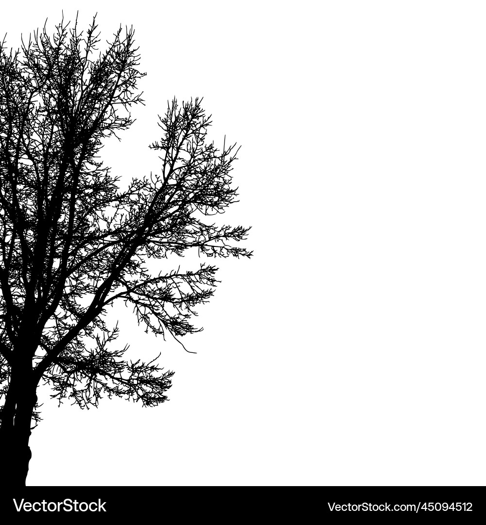 Silhouette of half tree with bare branches Silhouette of half tree with bare branches vector image