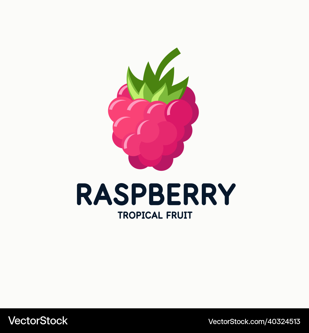 A raspberry in modern style vector image