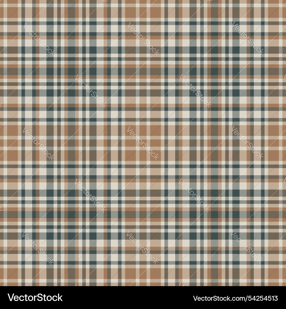 Abstract pattern plaid texture rectangle tartan Vector Image