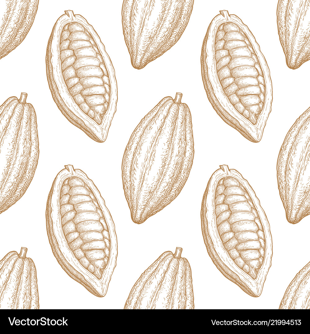 Cocoa Pod Pattern - Retro Sketch vector image