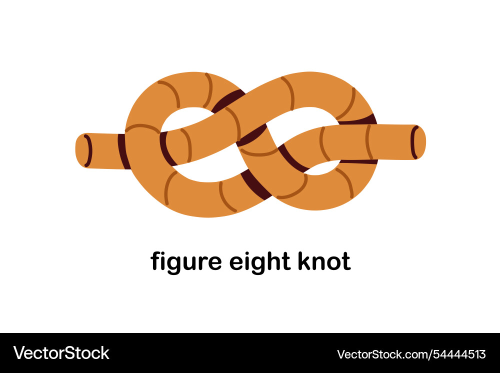 Figure-eight knot rope tied for safety Figure-eight knot rope tied for safety vector image
