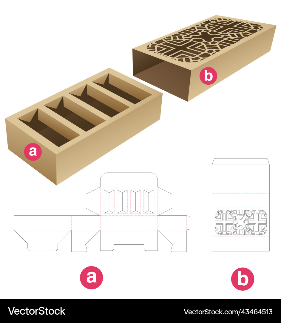 Insert supporter box with stenciled pattern cover Insert supporter box with stenciled pattern cover vector image