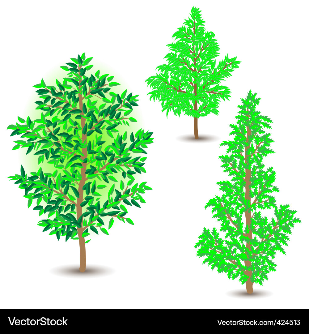 Tree Symbol Set vector image