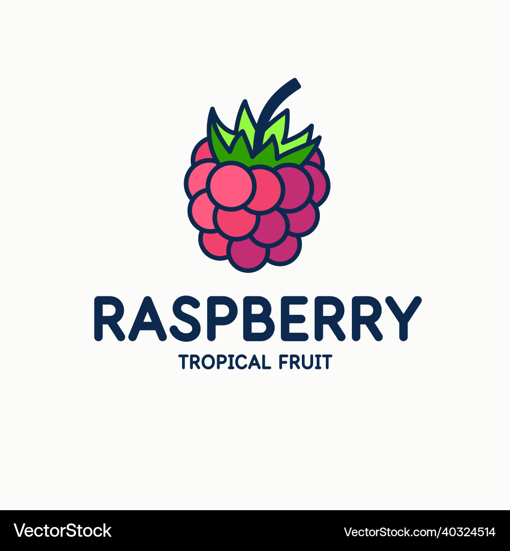 Modern Raspberry Icon vector image