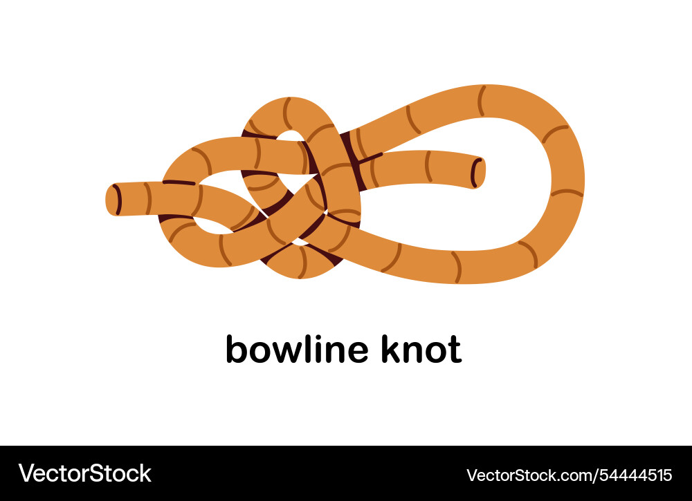 Bowline knot strong and secure loop durable rope Bowline knot strong and secure loop durable rope vector image