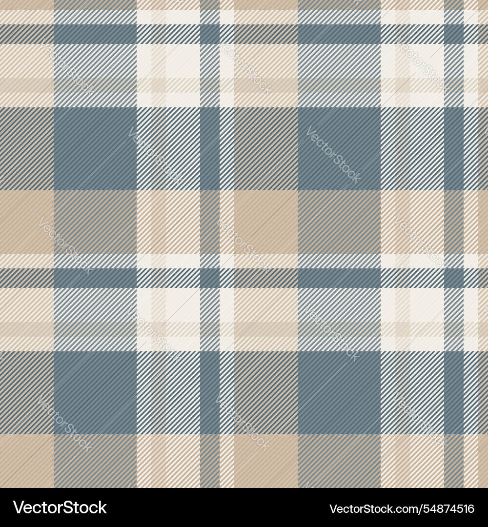 Victorian seamless pattern check multicolored vector image