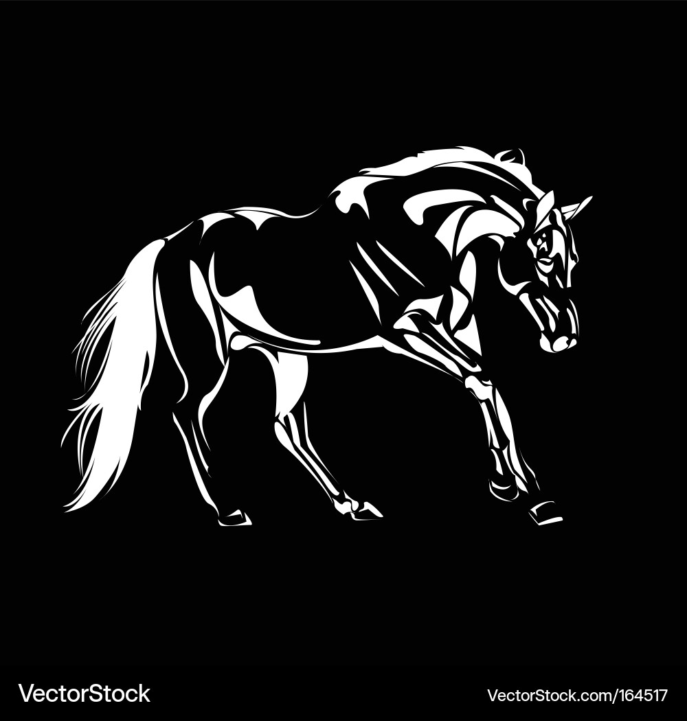 Elegant Horse Sketch vector image