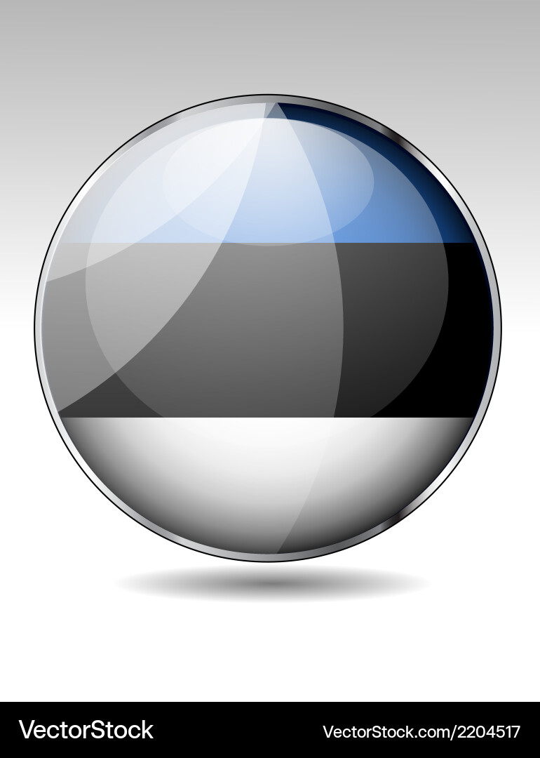 Flag button design elements Vector Image