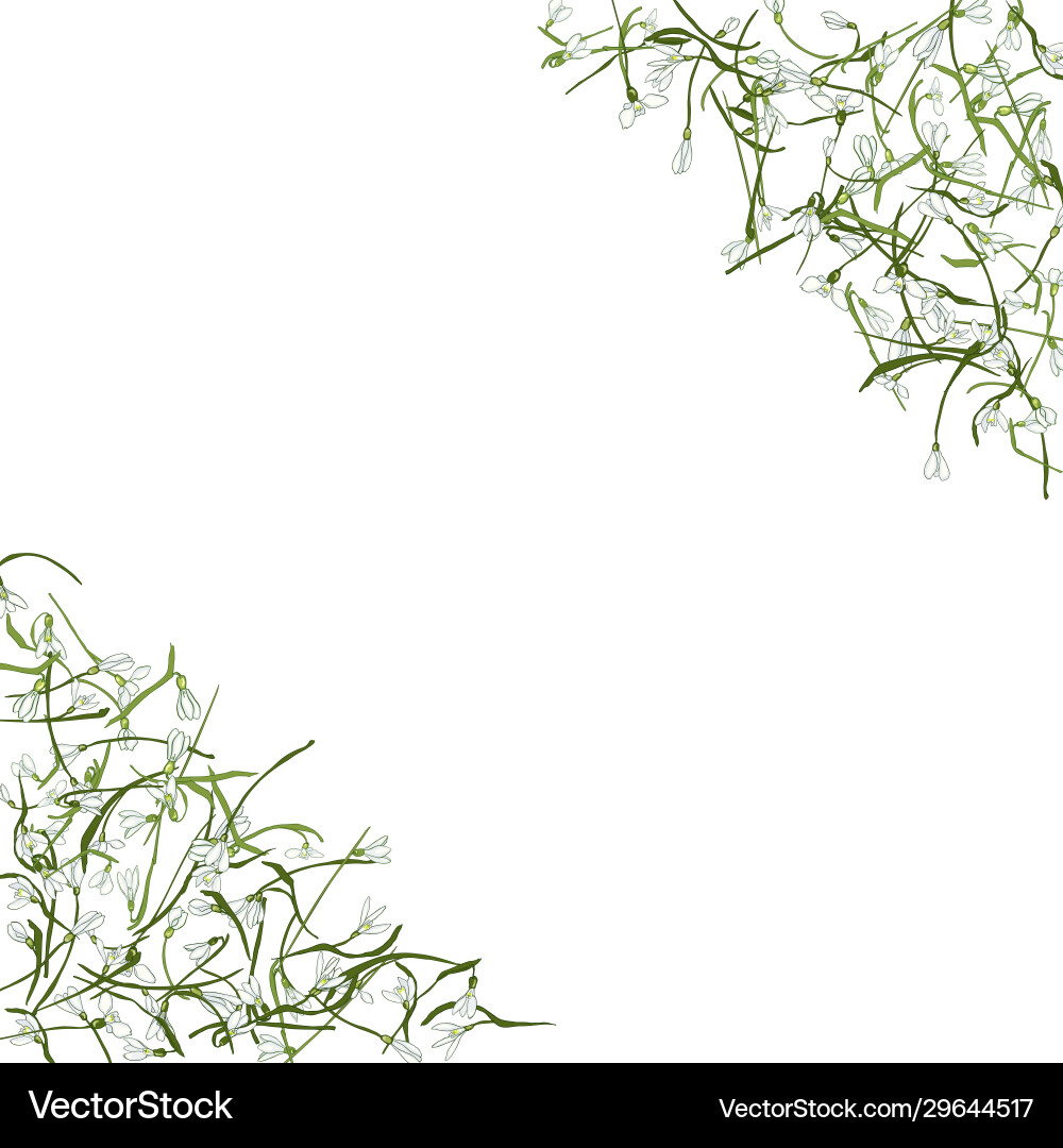 Frame with snowdrops Frame with snowdrops vector image