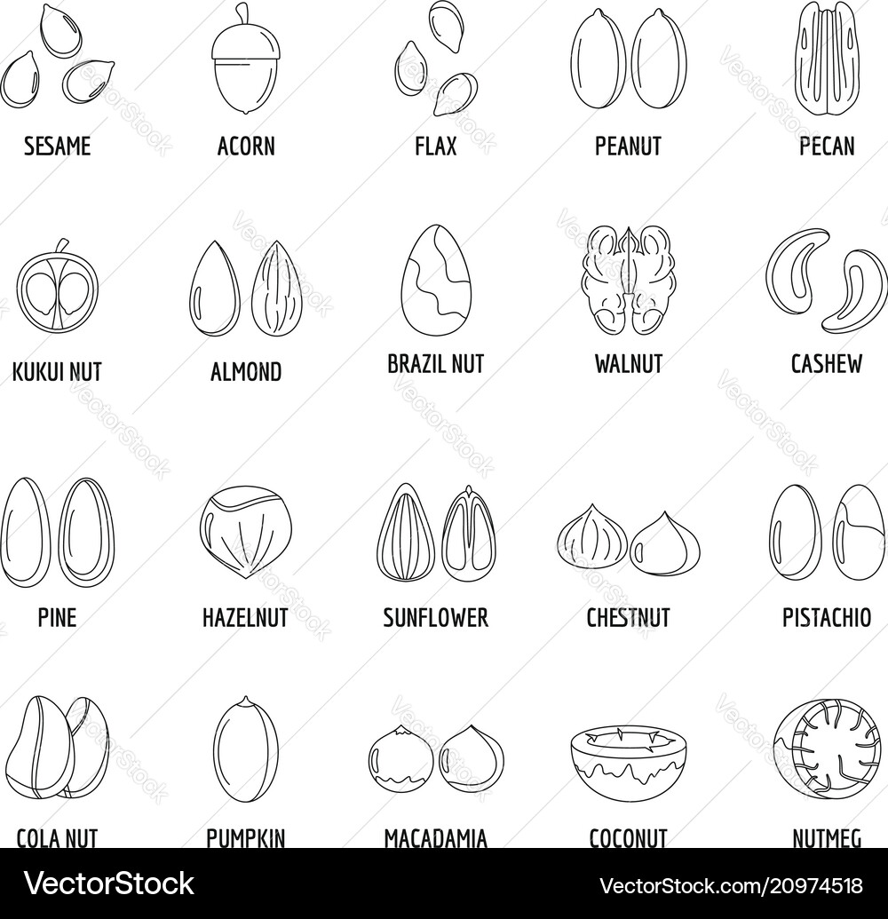 Nut-Typen mit signierten Namen Icons setzen Umriss Nut-Typen mit signierten Namen Icons setzen Umriss vektorbild