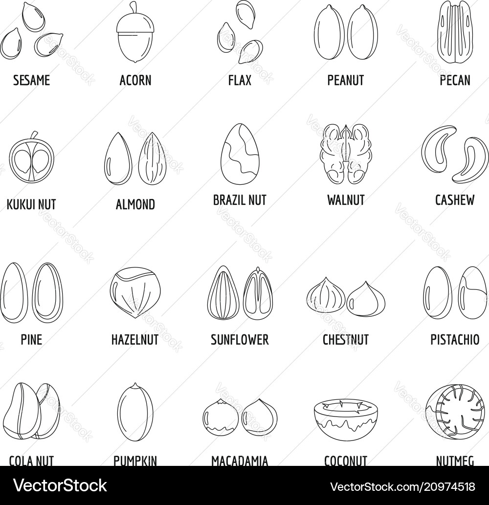 Nut types with signed names icons set outline Nut types with signed names icons set outline vector image