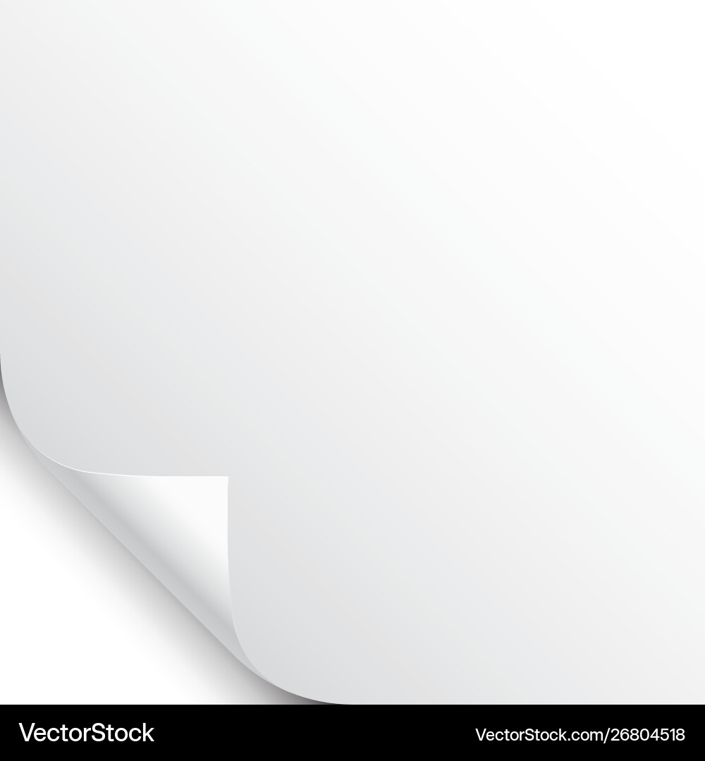 Small curled page corner with shadow on white Small curled page corner with shadow on white vector image