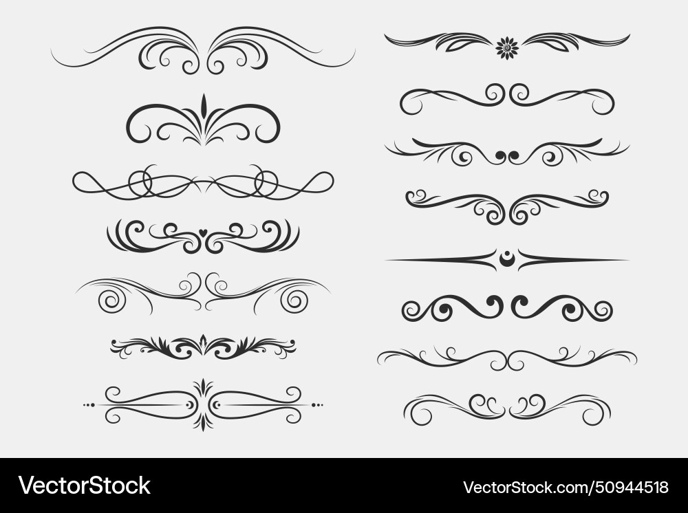 Vintage Scroll & Divider Set vector image