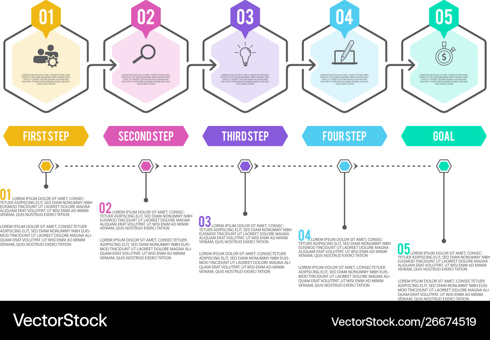 Line step infographic with 5 options workflow vector image