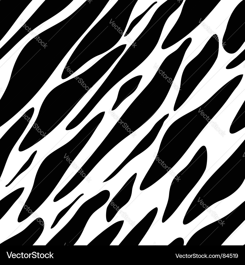 Zebra Stripe Texture vector image
