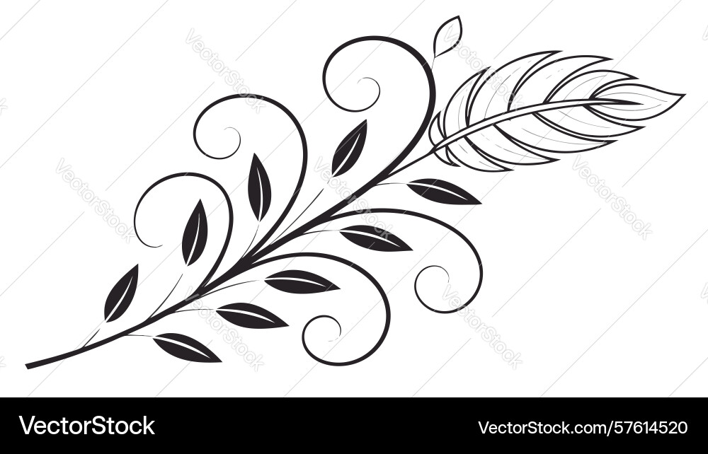 Elegant feather swirl design generative ai Vector Image