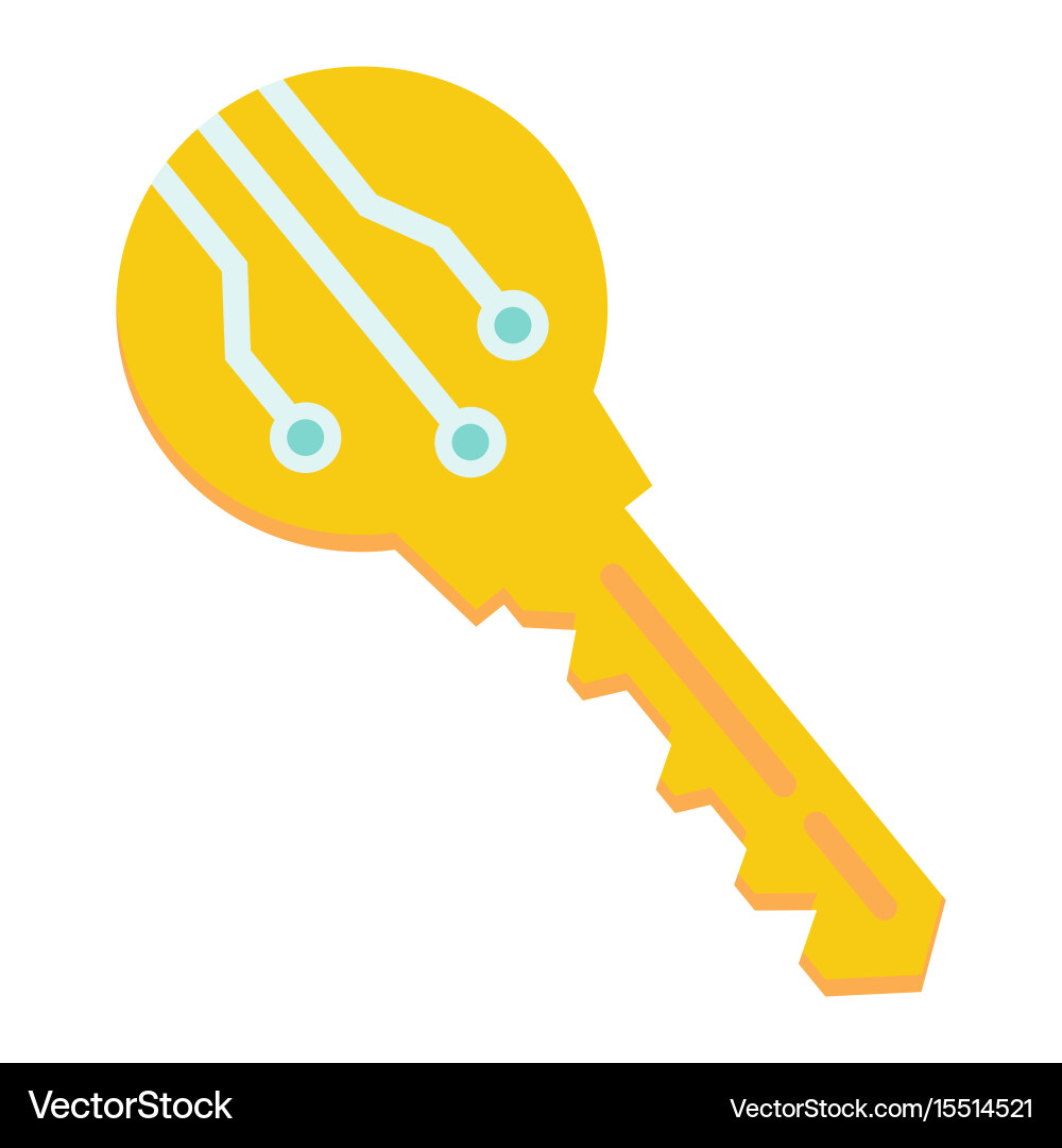 Electronic key flat icon security and access vector image
