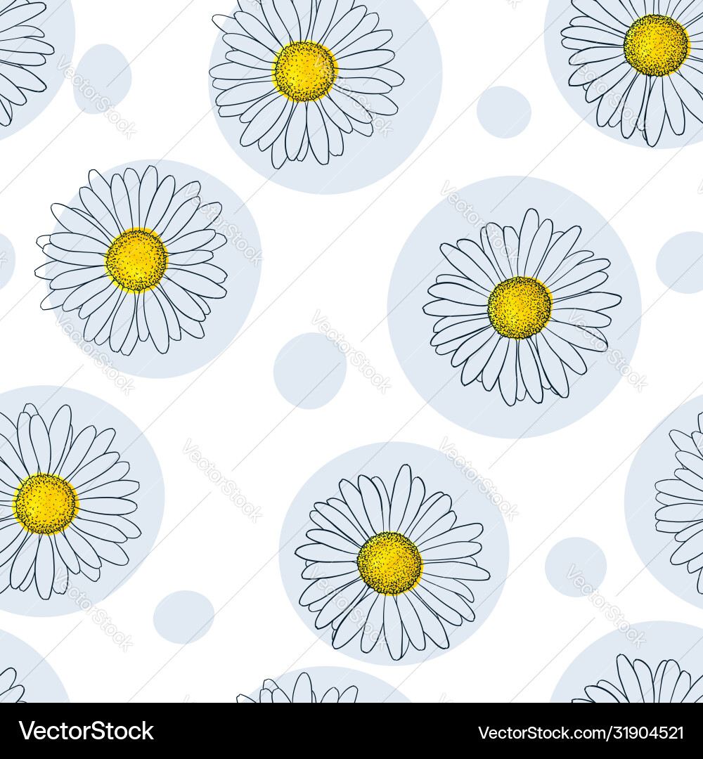 Elegant Daisy Pattern Royalty Free Vector Image