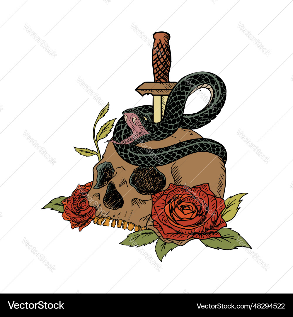 A human skulls with roses venomous snake Vector Image