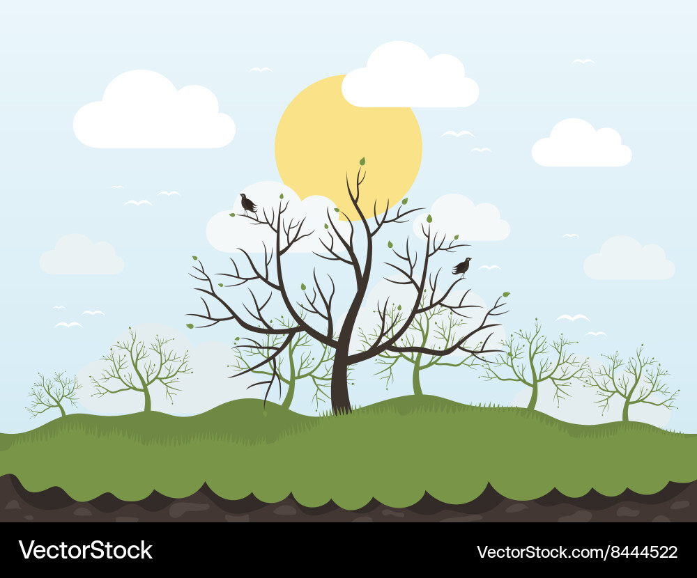 Spring tree vector image