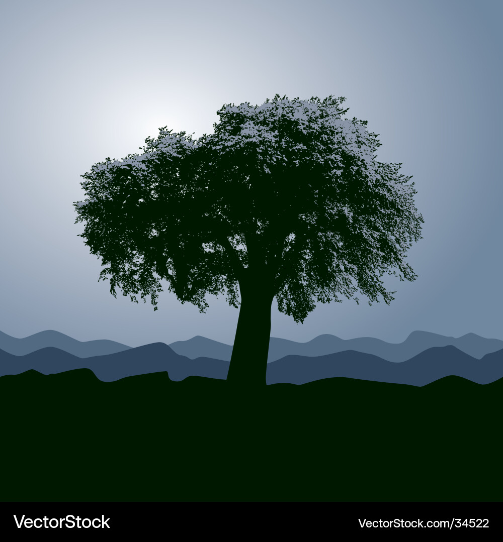 Tree vector image