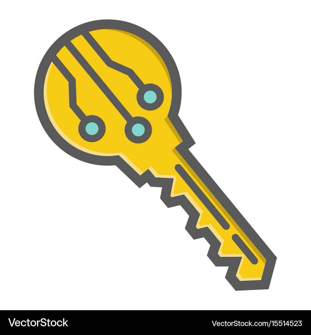 Electronic key colorful line icon security access vector image