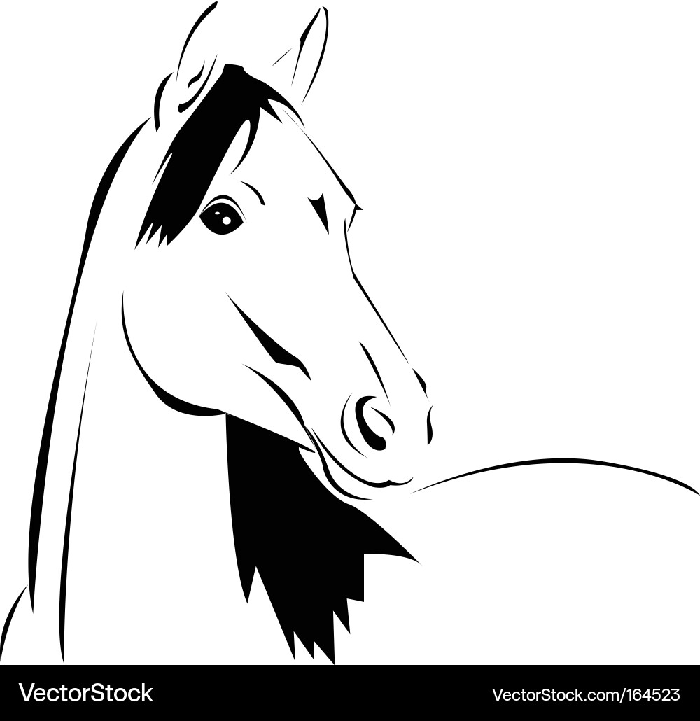 Horse Head Silhouette vector image