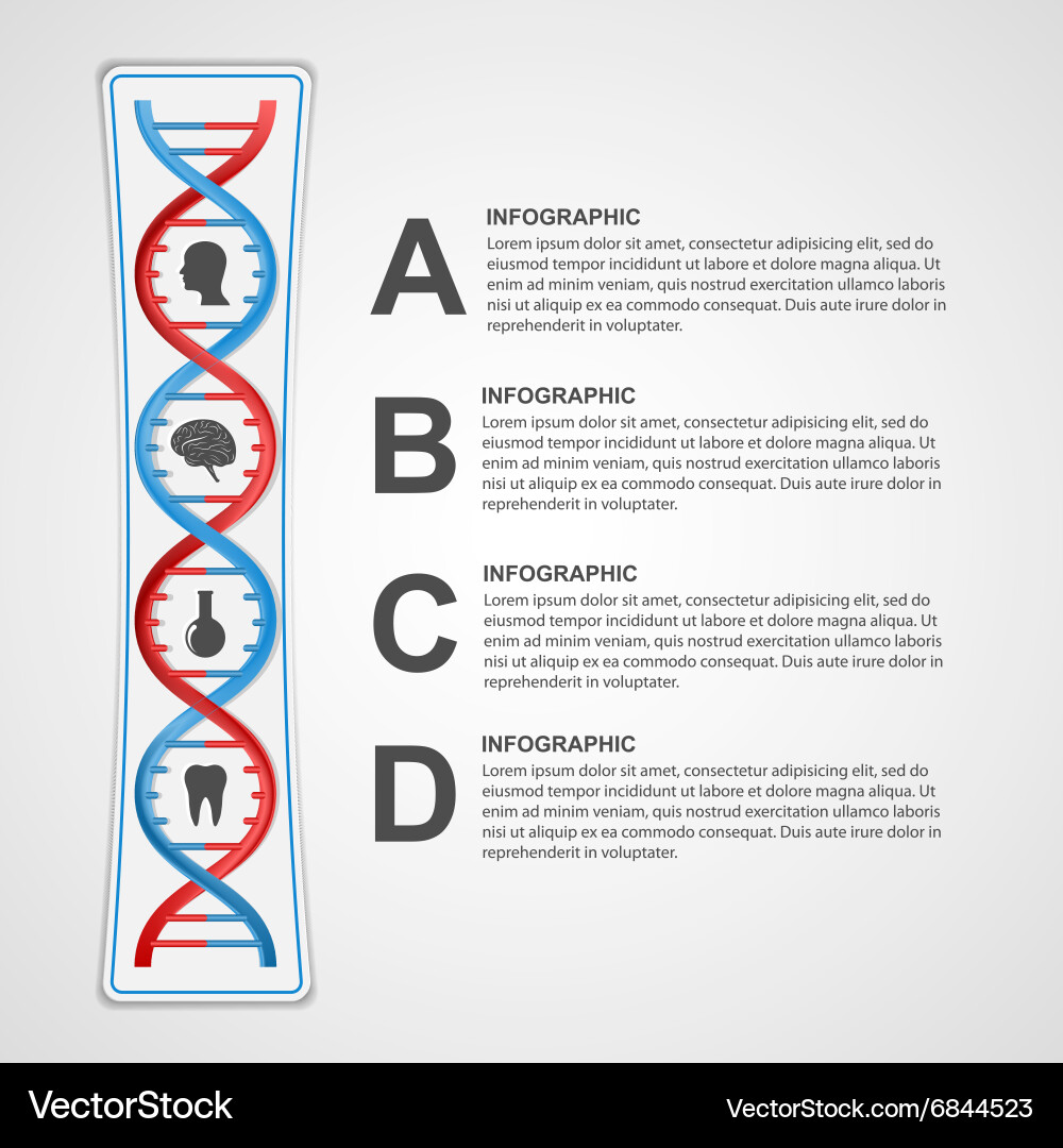 Infographics in the dna helix form design element vector image