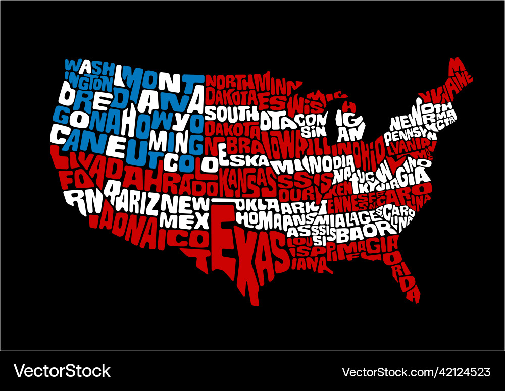 US States Flag Map vector image