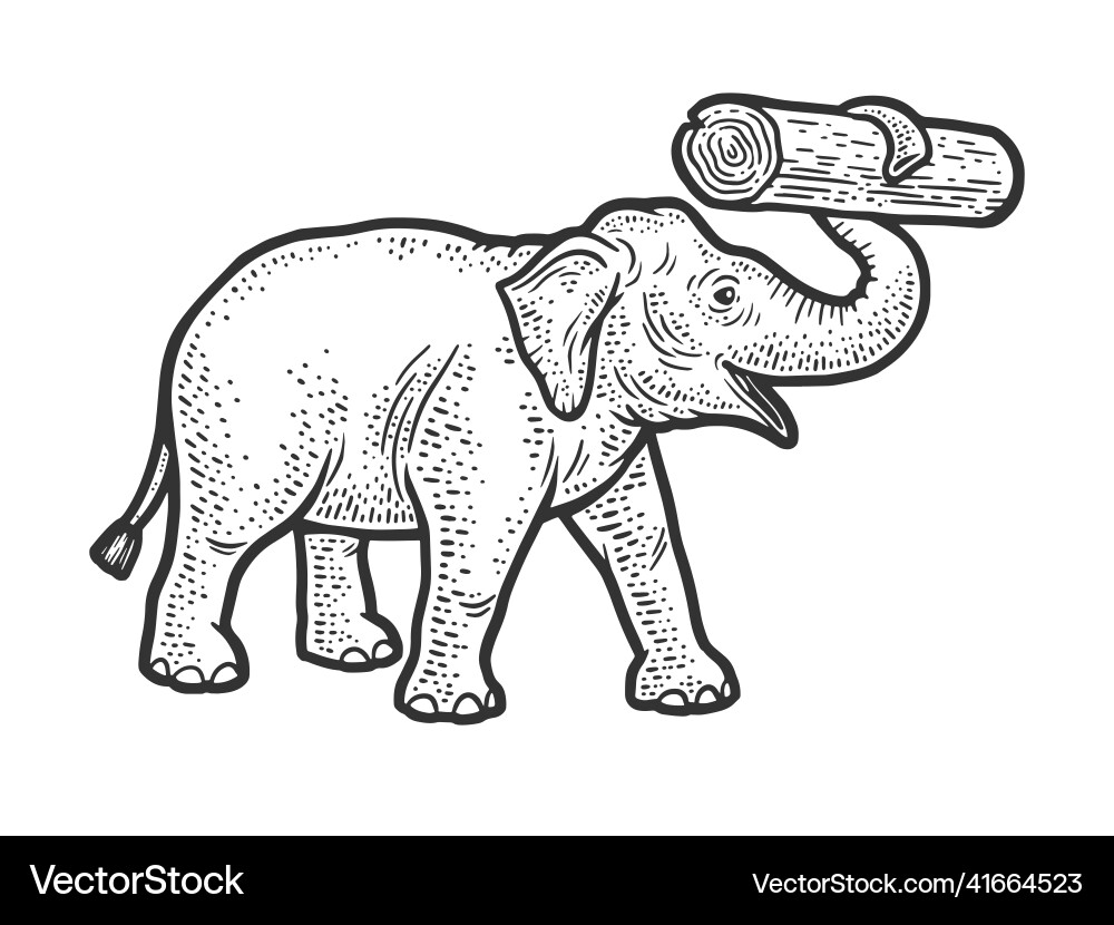 Working elephant with log in its trunk sketch Working elephant with log in its trunk sketch vector image