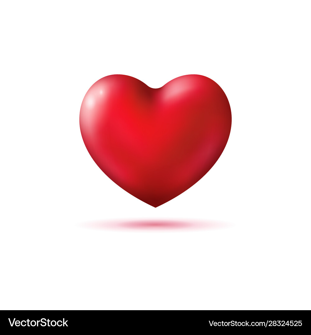3d realistic red heart shape with shadow 3d realistic red heart shape with shadow vector image