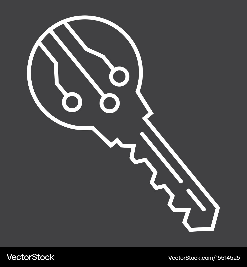 Electronic key line icon security and access vector image