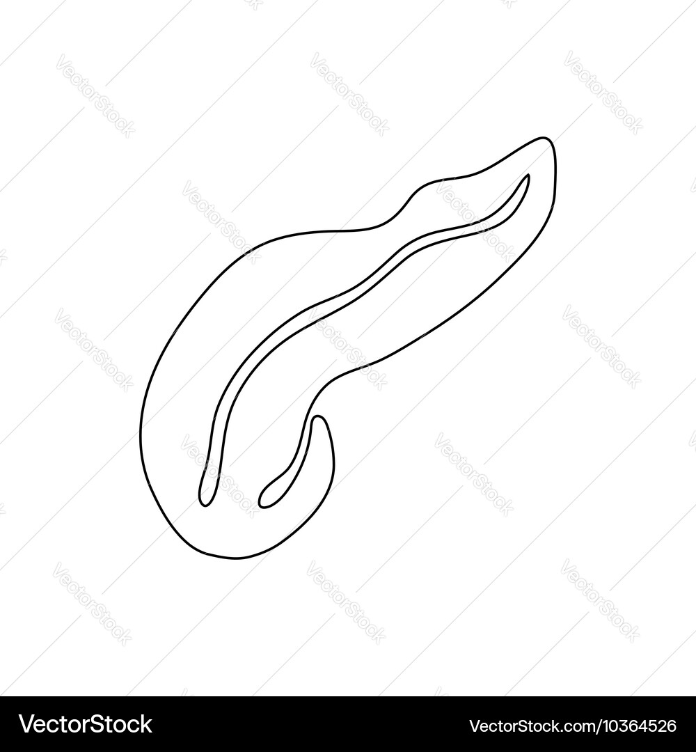Appendicitis icon outline style Vector Image