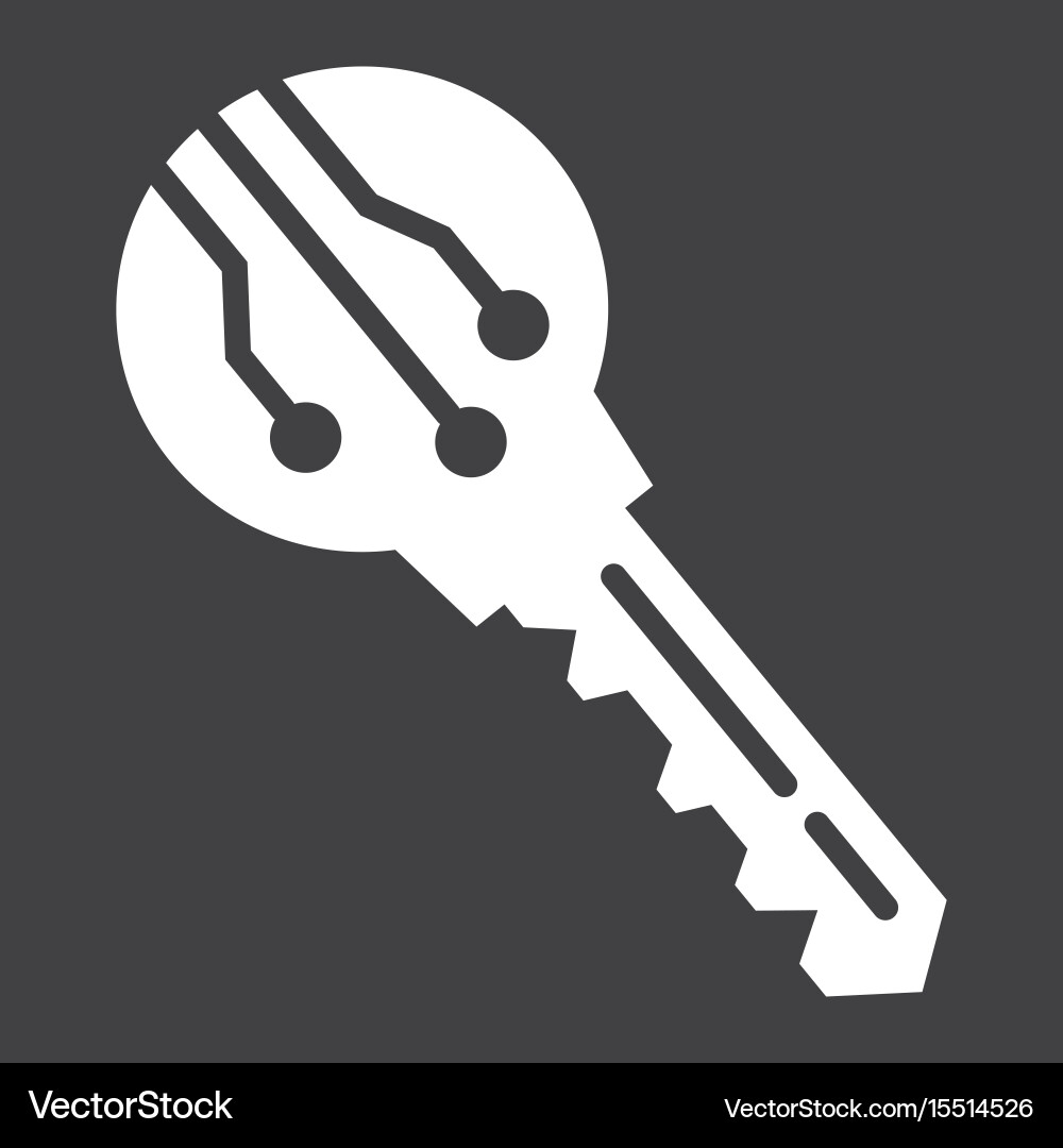 Electronic Key Icon - Security Access Vector Image