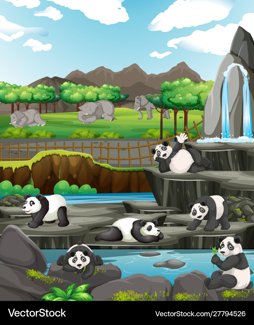 Pandas and Elephants in a Zoo Vector Image