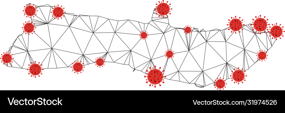 Polygonal network mesh molokai island map Polygonal network mesh molokai island map Vector Image