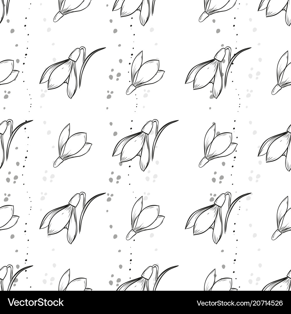 Snowdrop seamless pattern Snowdrop seamless pattern vector image