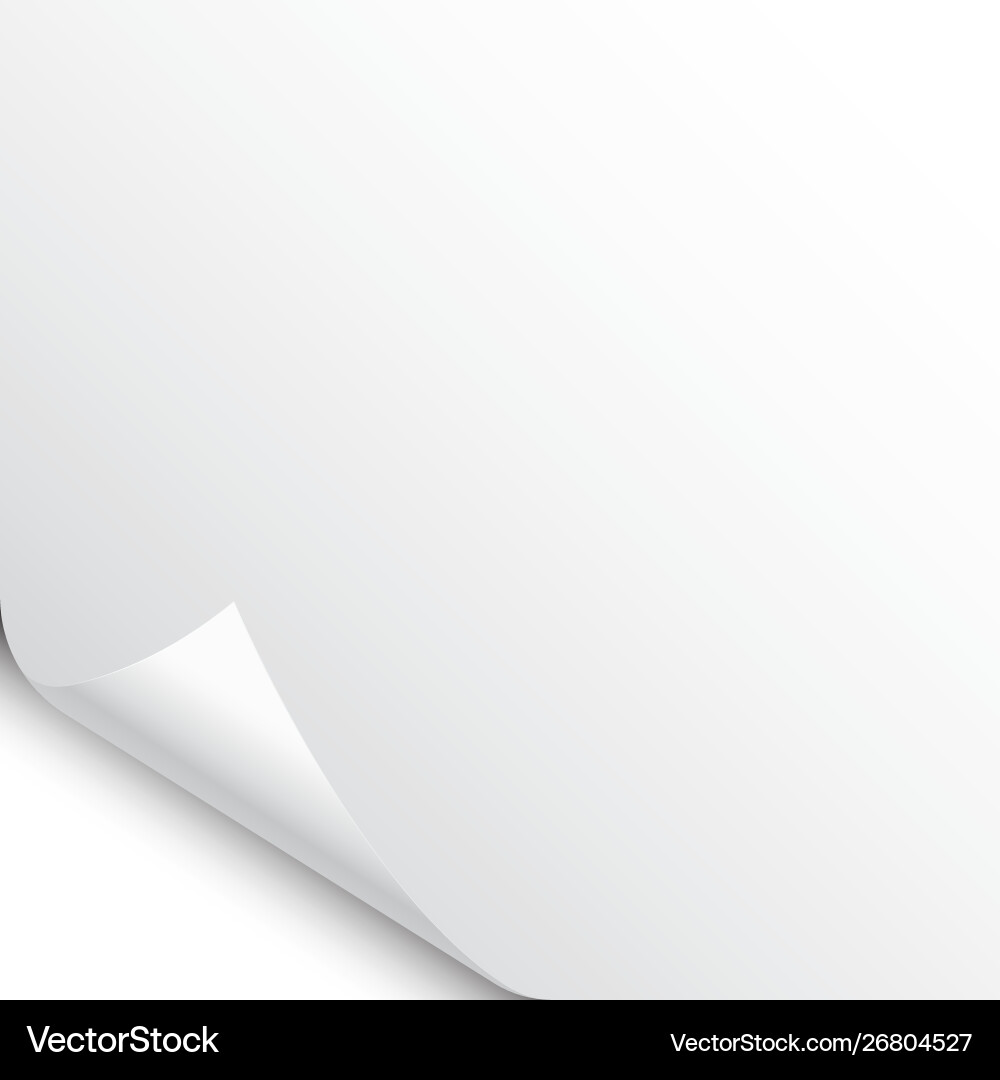Curled Paper Corner with Shadow vector image