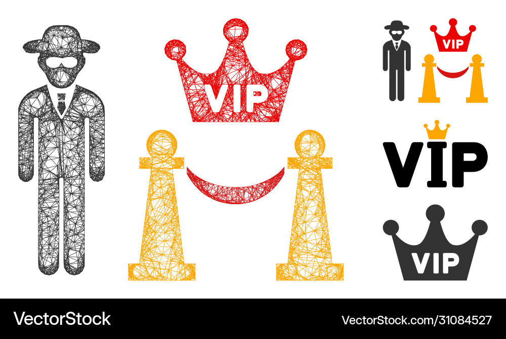 Vip access polygonal web mesh Vip access polygonal web mesh vector image