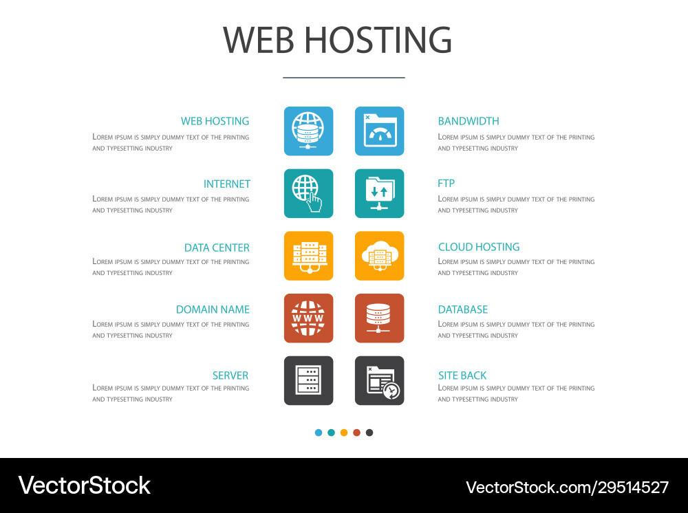 Web hosting infographic 10 option conceptdomain vector image