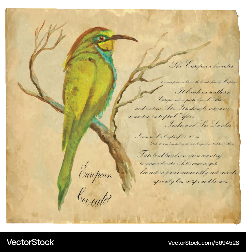 An hand painted Vector Image