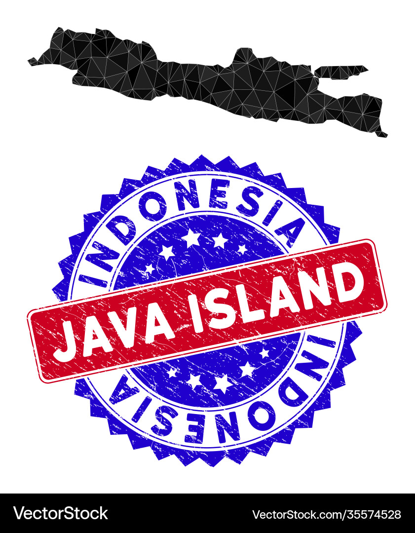Java island map polygonal mesh and grunge bicolor vector image