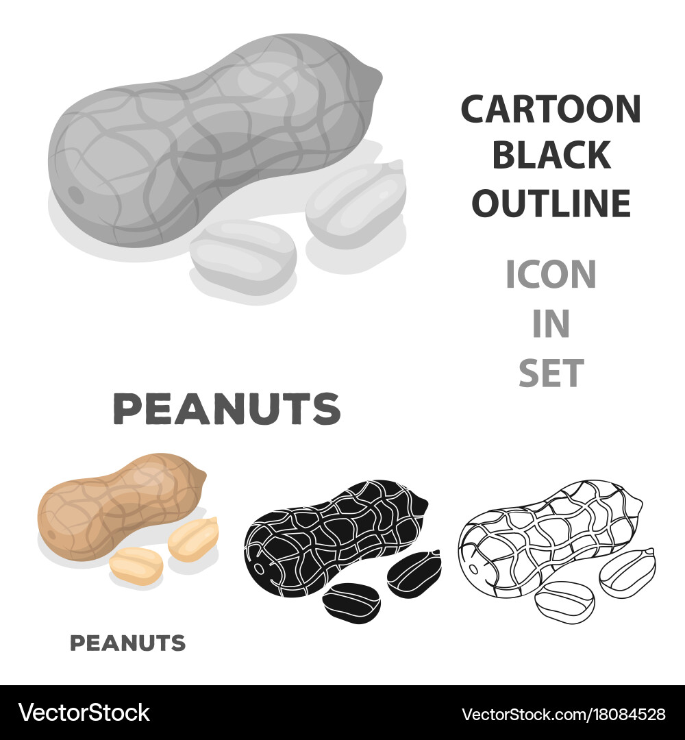 Single Peanut in Shell - Nut Icon vector image