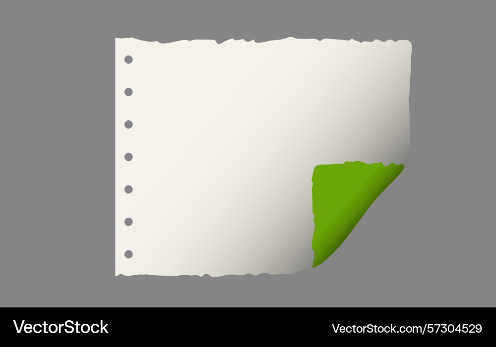 Page curl curled color paper blank sheet Page curl curled color paper blank sheet vector image