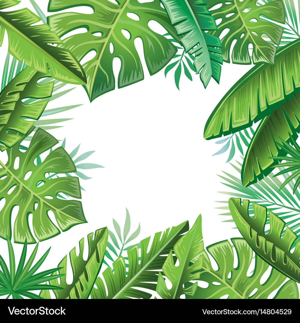 Tropical Leaf Pattern vector image