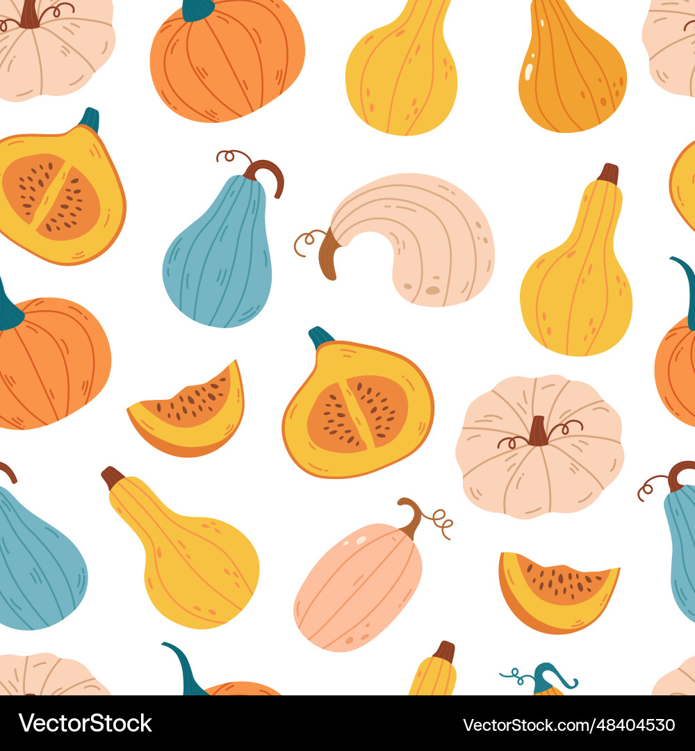 Seamless pattern with pumpkin of various shapes vector image