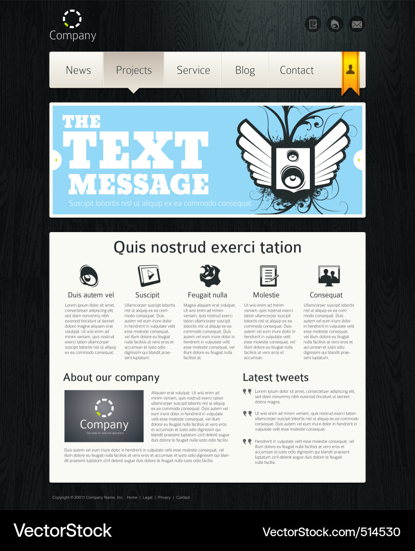 Website Layout Template vector image