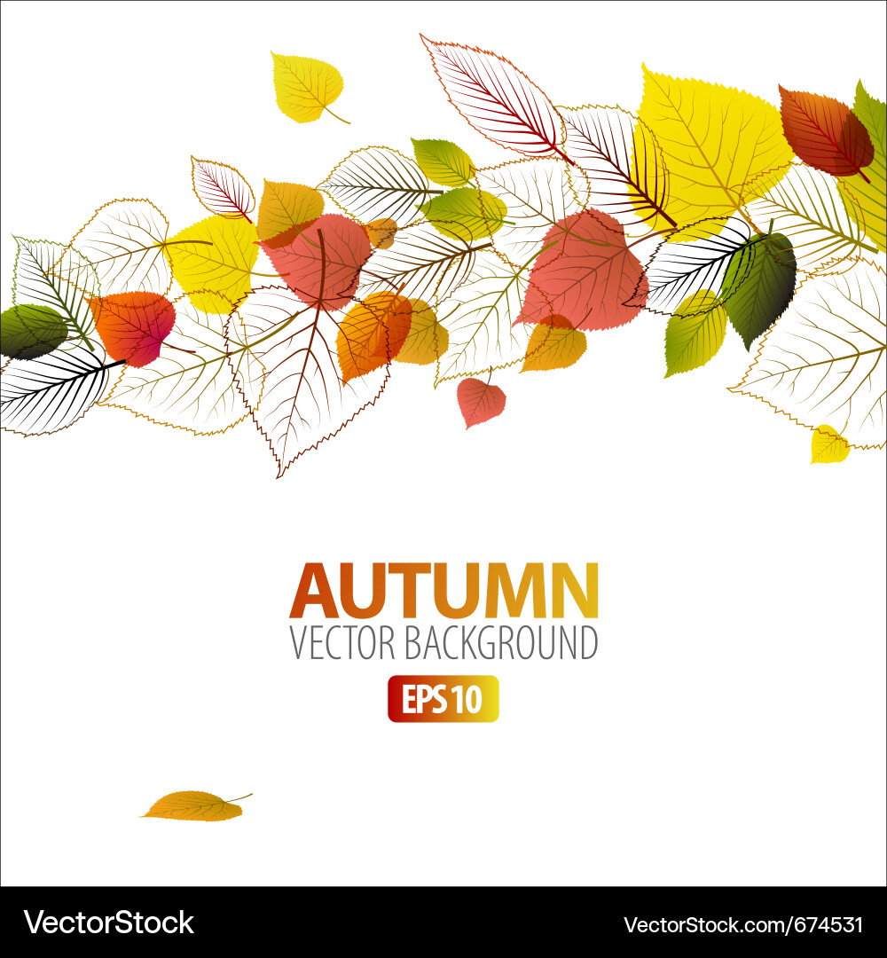 Autumn Floral Background vector image