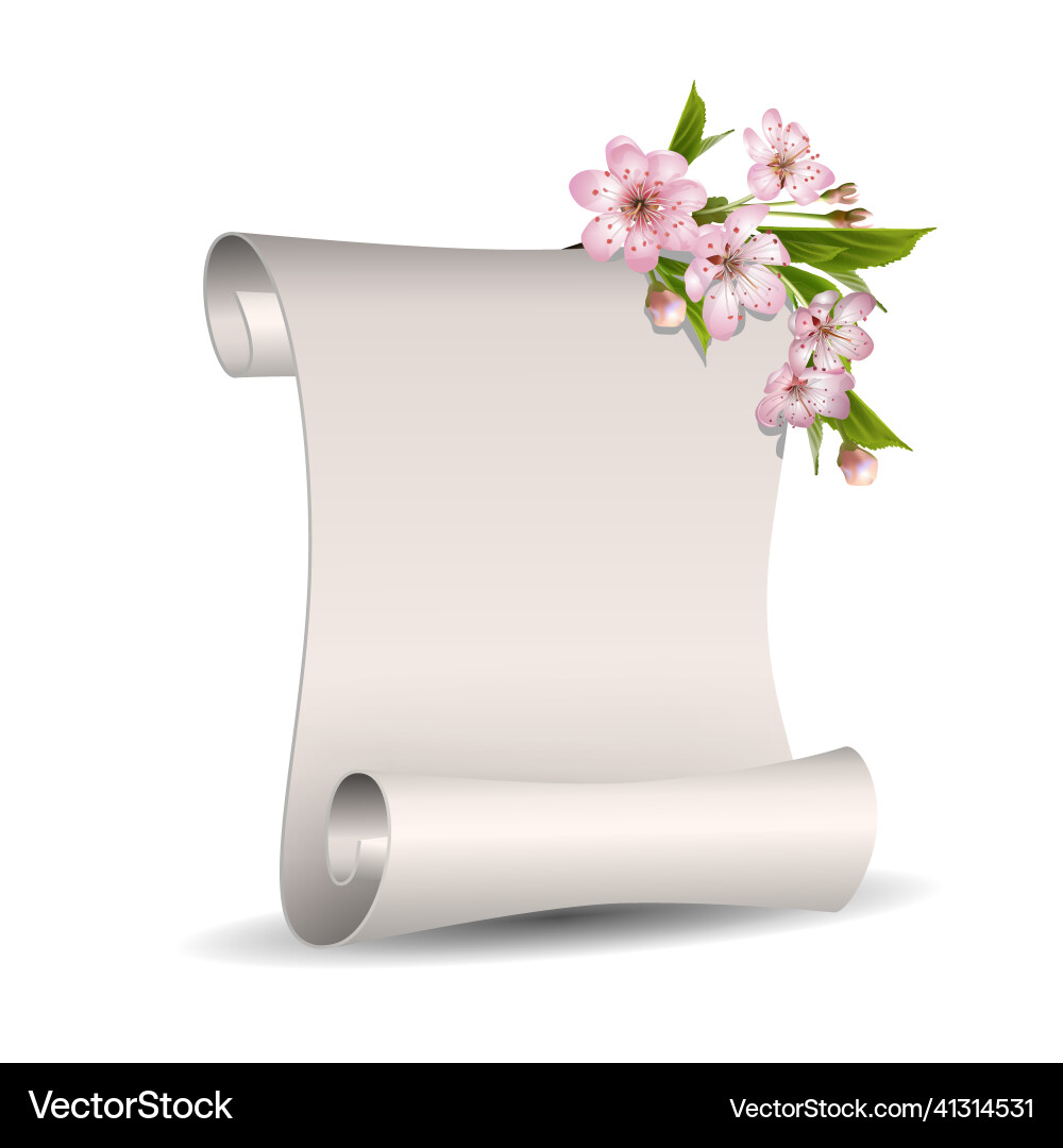 Spring floral banner with scroll blank paper Vector Image